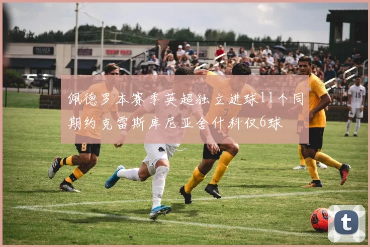 佩德罗本赛季英超独立进球11个同期约克雷斯库尼亚舍什科仅6球