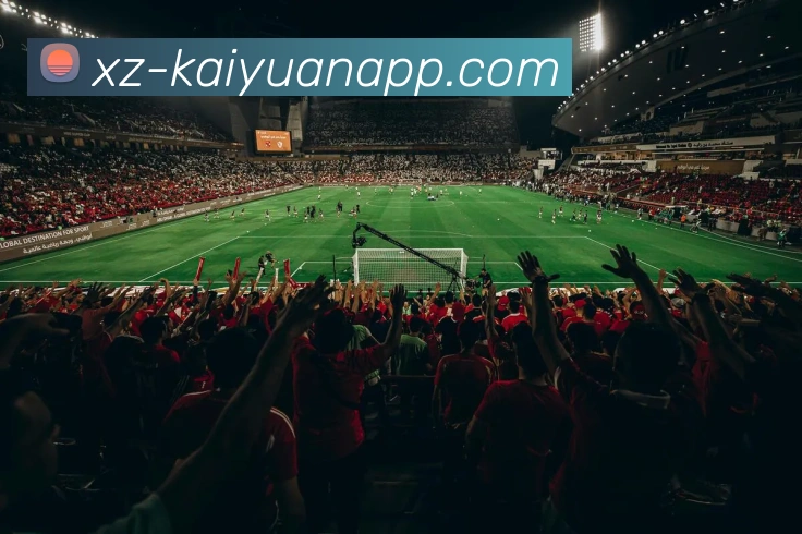 多媒体互动体验