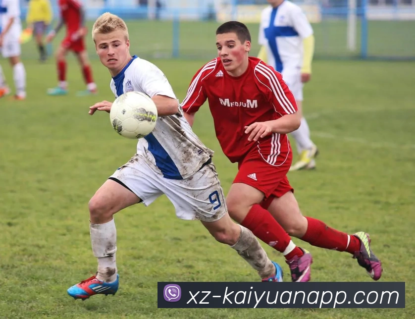 开元体育APP 高清赛事图