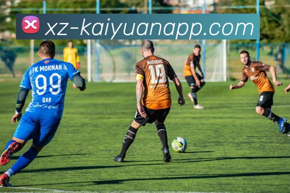 数据防护可视化